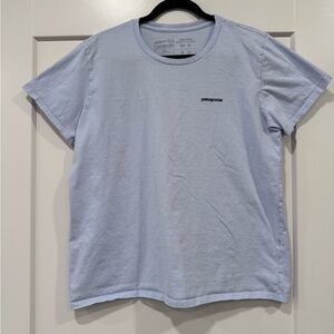 Patagonia Short Sleeve Blue Graphic Tee for Women Size XL